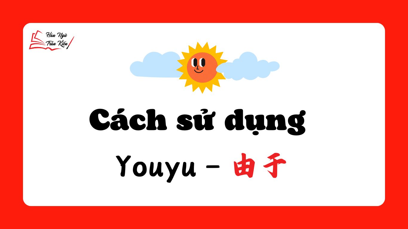 cach-su-dung-youyu-由于