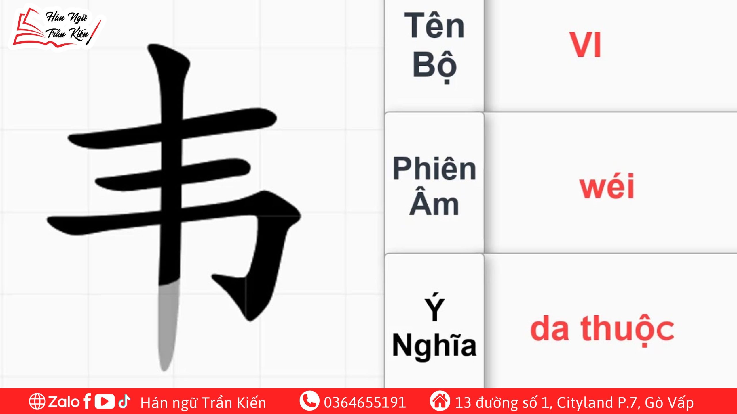 Bộ-Vi-và-các-từ-vựng-phổ-biến
