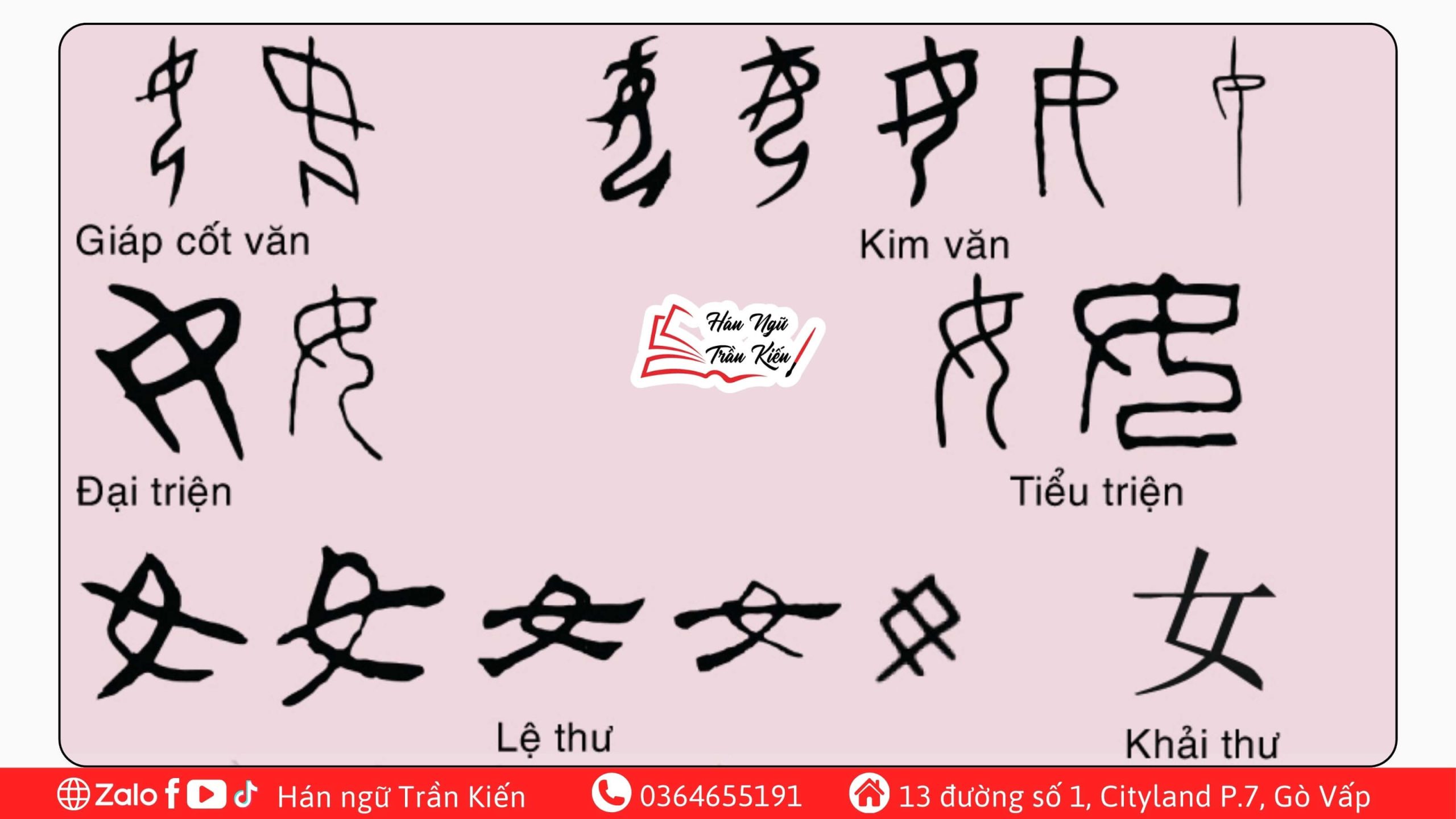 Bộ-Nữ-và-các-từ-vựng-phổ-biến