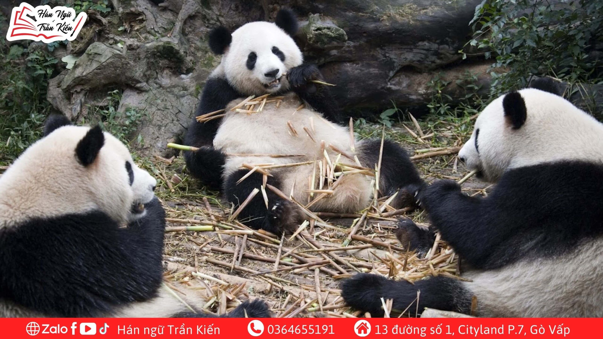 Thành-Đô-và-các-địa-điểm-du-lịch-phải-đến
